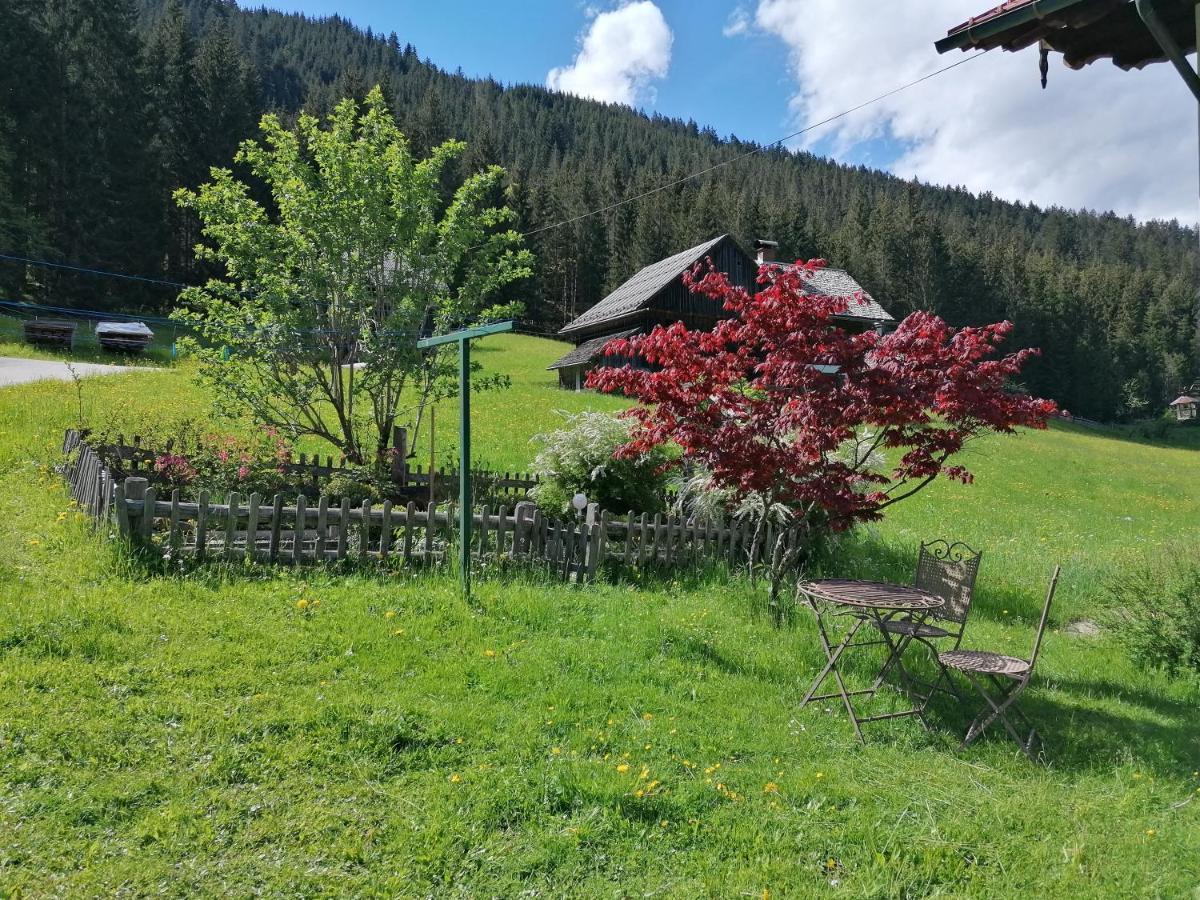 Ferienwohnungen Asterbach Gosau Exterior foto